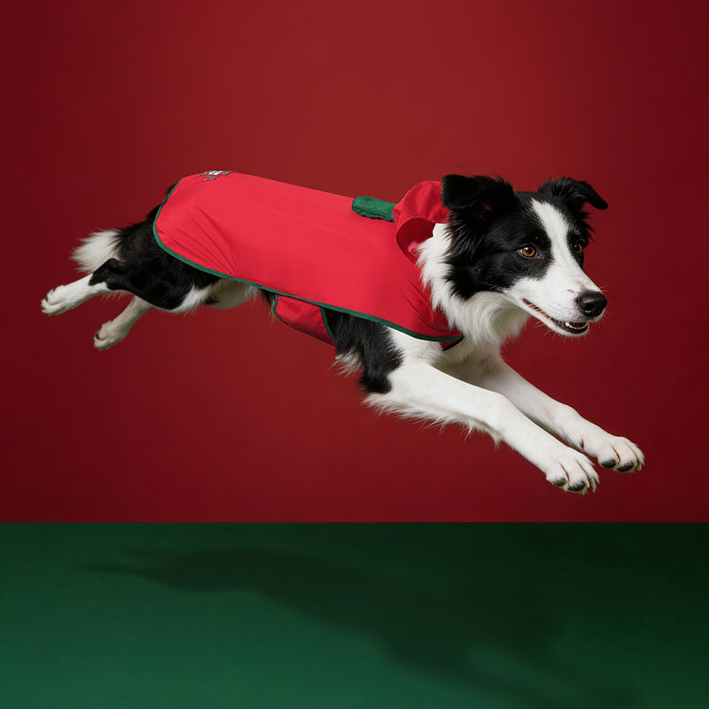 Portugal FPF Pet Raincoat